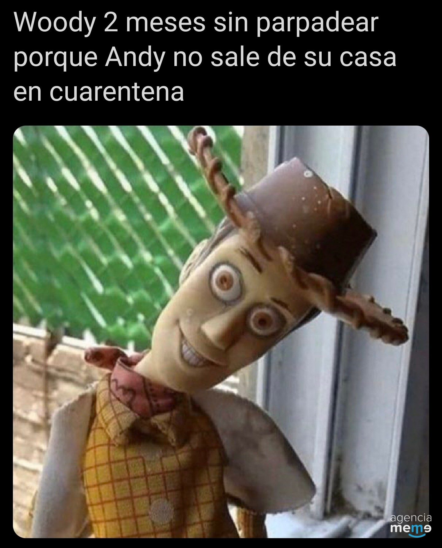 Toy Story Real Meme vrogue.co